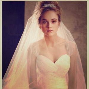 Vera Wang - brand new--cathedral veil