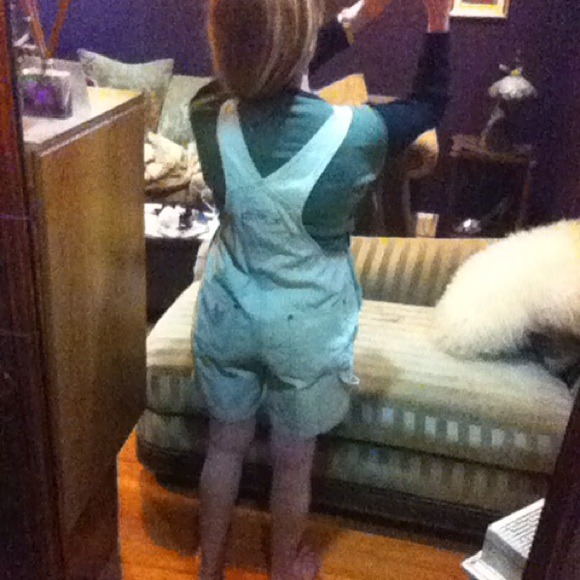 Harley Davidson Overalls - Picture 2 of 3