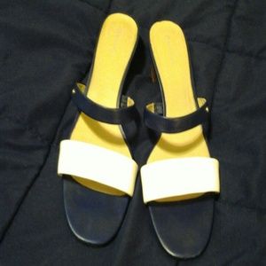 Blue and white slides