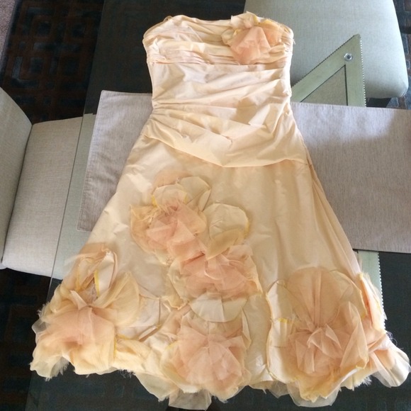 BCBG maxarzia dress