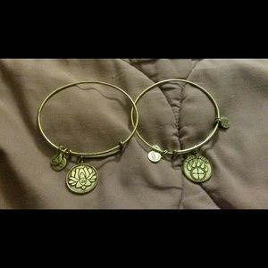 Lotus flower and bear spirit alex and ani