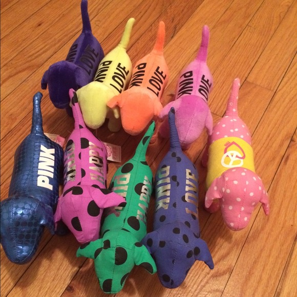 VS dogs