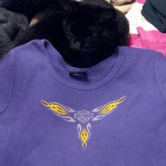 Capped sleeved Harley Davidson shirt