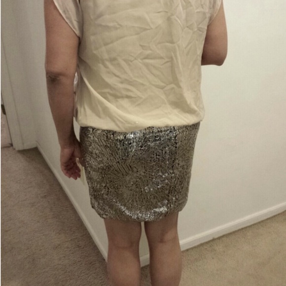 NEW DRESS: sequin skirt & sheer beige top _1 piece - Picture 3 of 4
