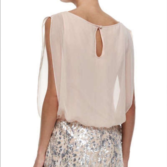 NEW DRESS: sequin skirt & sheer beige top _1 piece - Picture 4 of 4