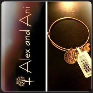 Alex and Ani charm bracelet 💕