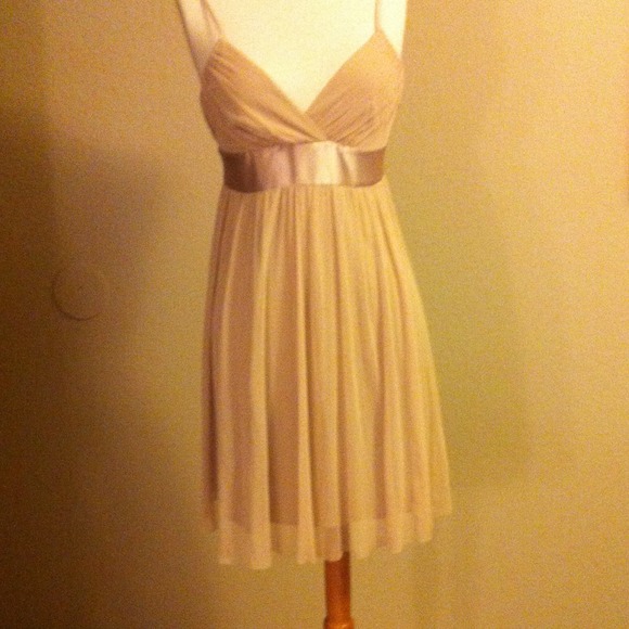 Beautiful lined sheer short dress