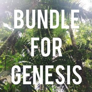 BUNDLE FOR GLITTERGLOSSGEN ✨