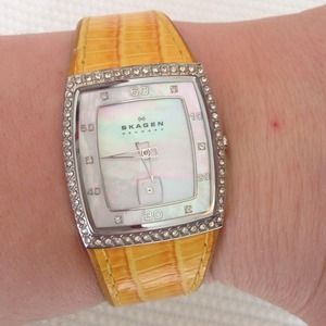 Skagen Watch