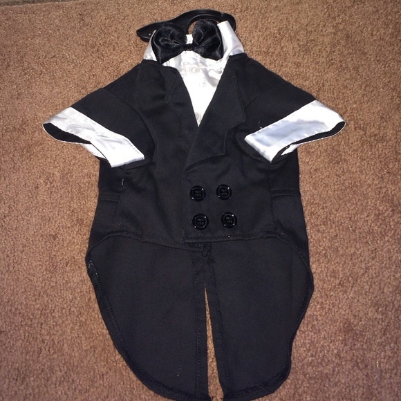 Puppy costume/tuxedo