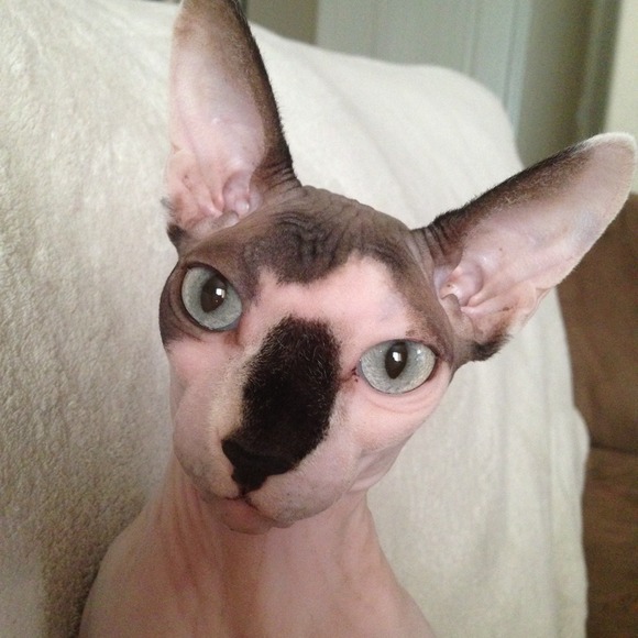 My handsome Prince!