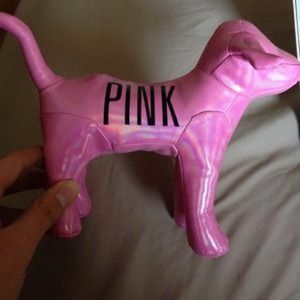 Vs pink puppy