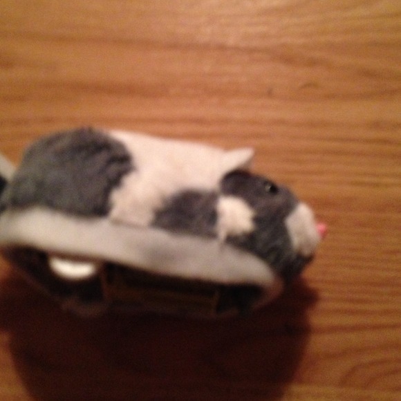 Zo-zo pet - Picture 3 of 5