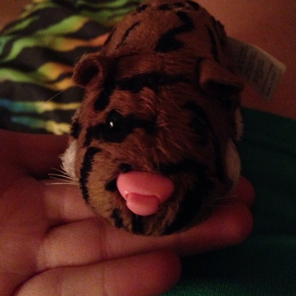 Zu-zu pet