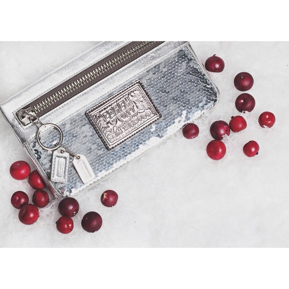 Silver Sequin Coach Poppy Clutch