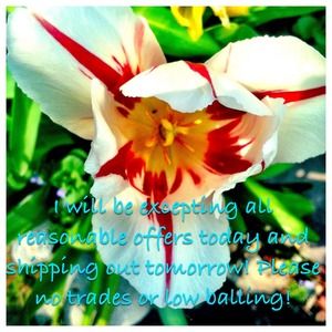 🔥🔥excepting all offers🔥🔥