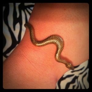 Lucky Brand Snake Bangle