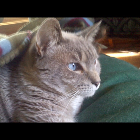 Lucas
