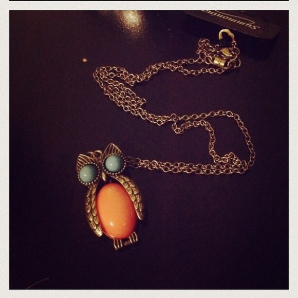 Beautiful owl necklace!