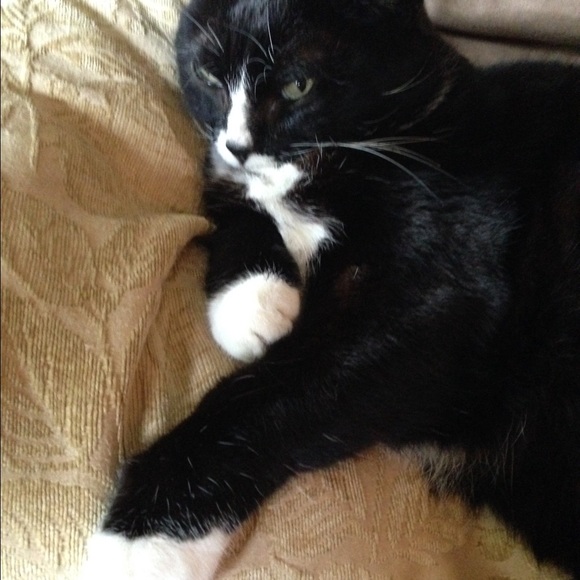 Meet my jewelry model - Picture 2 of 4