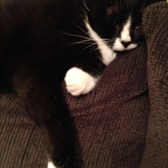 Meet my jewelry model - Picture 3 of 4