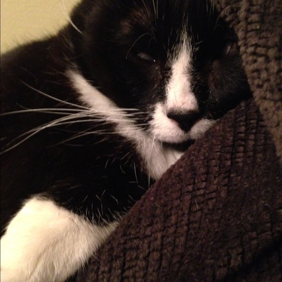 Meet my jewelry model - Picture 4 of 4