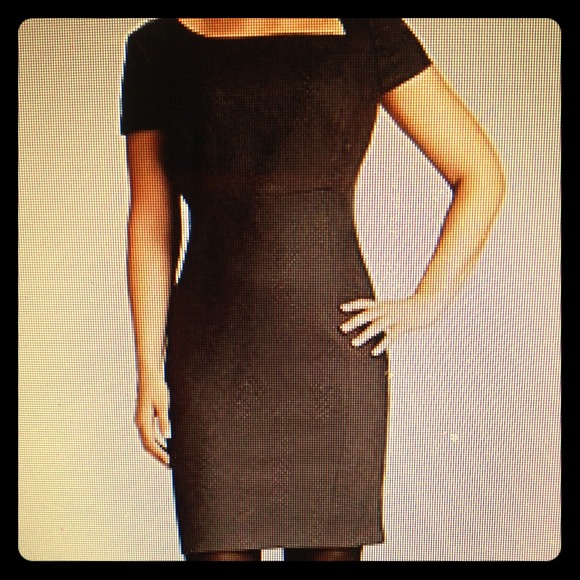 Tahari woman plus Cali dress