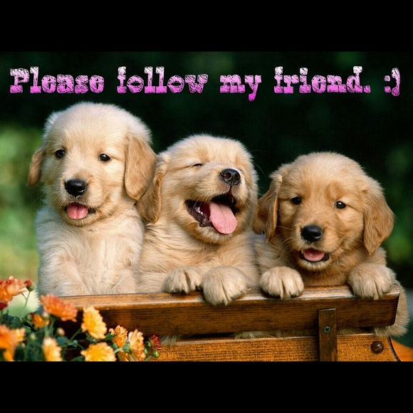 Please follow my friend - Mandyydoll