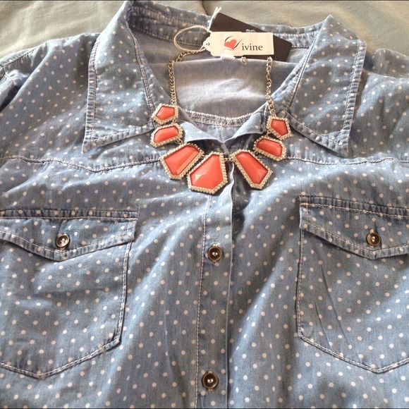 🔴Sold🔴Too Cute Polka Dot Chambray - Picture 4 of 4