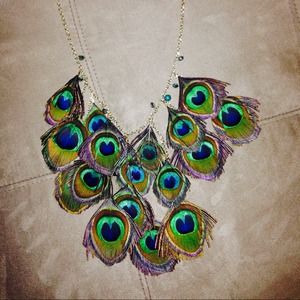 Peacock feather bib necklace