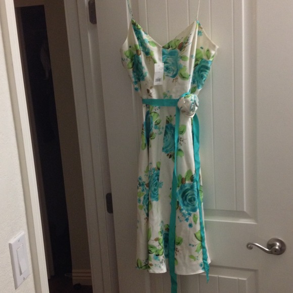 NWT Banana Republic dress