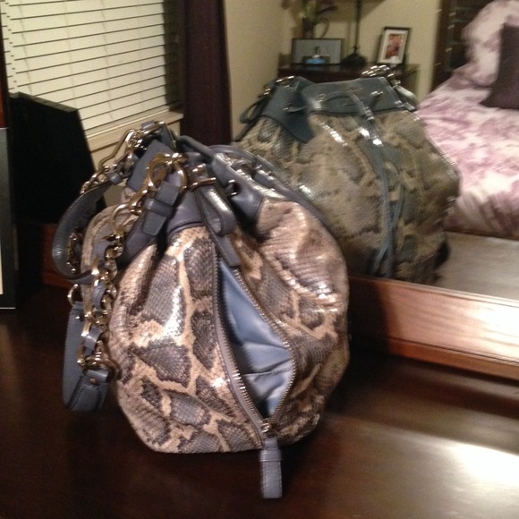 More Python Coach Pictures! - Picture 2 of 4