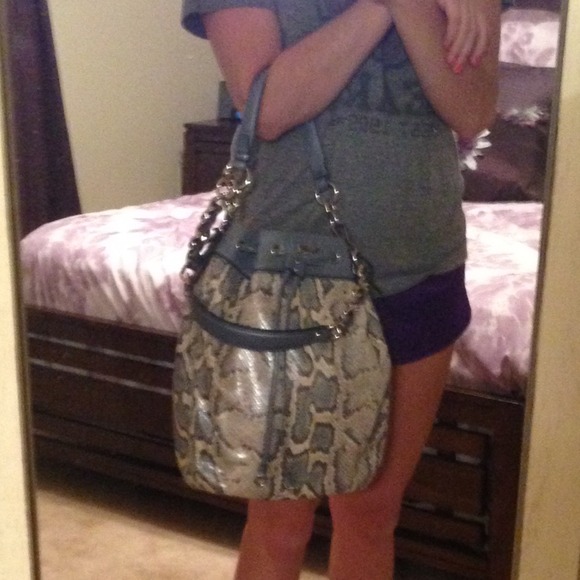 More Python Coach Pictures! - Picture 4 of 4