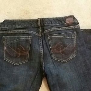 Express X2 Zelda Skinny