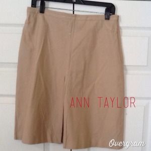 Ann Taylor Skirt
