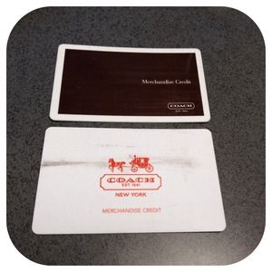 Coach Merchandise Credit total $249.02.