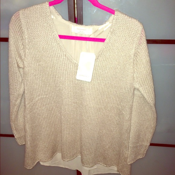 Zara Knit top