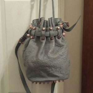 100% Authentic Alexander Wang Dusty Blue Diego!