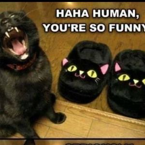 Just for laughs