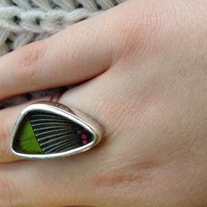 authentic butterfly wing ring
