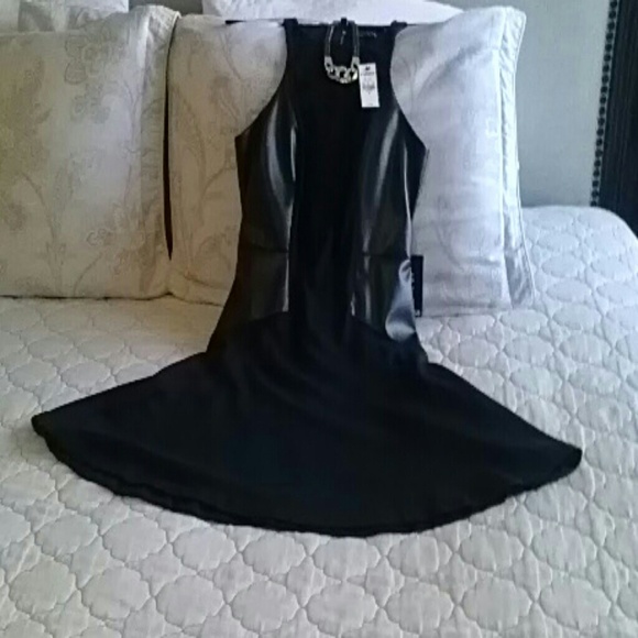 Express Skater Dress