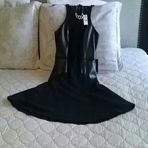 Express Skater Dress