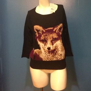 A new sweater from French connection