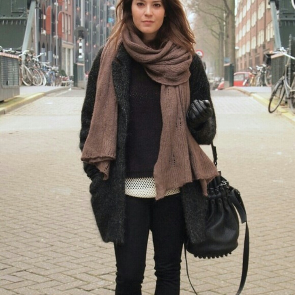 Alexander Wang hang bag