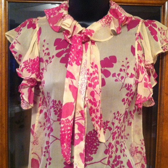 Sheer Theory blouse - Picture 2 of 4