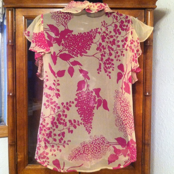 Sheer Theory blouse - Picture 3 of 4