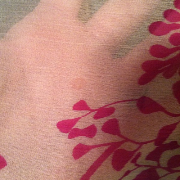 Sheer Theory blouse - Picture 4 of 4