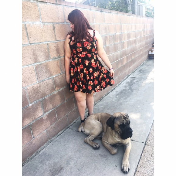 *Posh Ambassador* Meet your buyer/seller 🌙☀️ - Picture 3 of 4