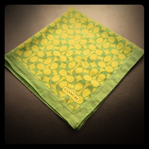 Lovely Green - Coach Silk Scarf