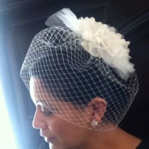 Bridal Birdcage Veil  .Gorgeous !! Brand new !